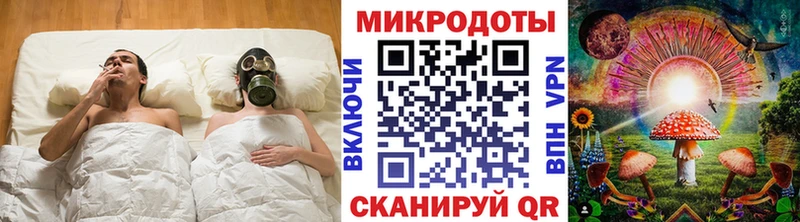 Галлюциногенные грибы Psilocybe Дмитриев